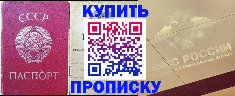 прописка для школы в Полярном